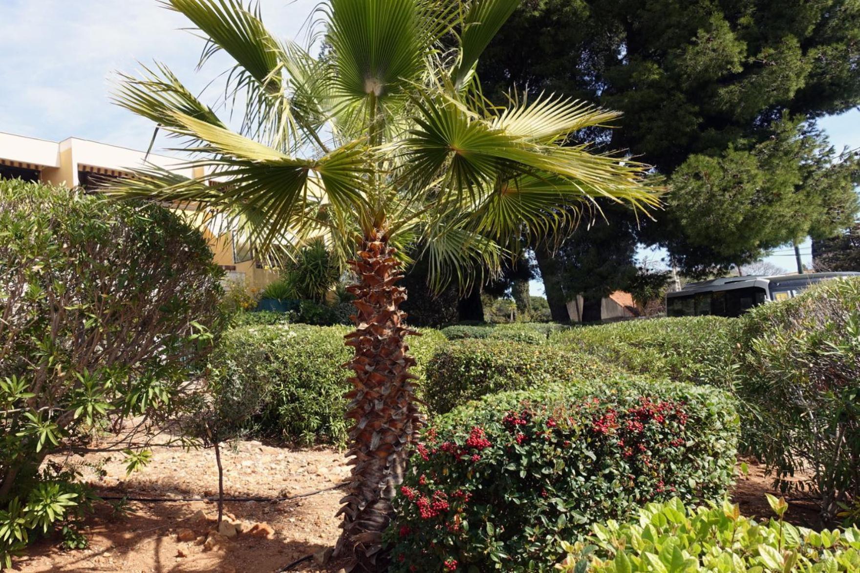 Les Jardins De Bandol, Piscine Privee, Belle Vue Mer Esterno foto