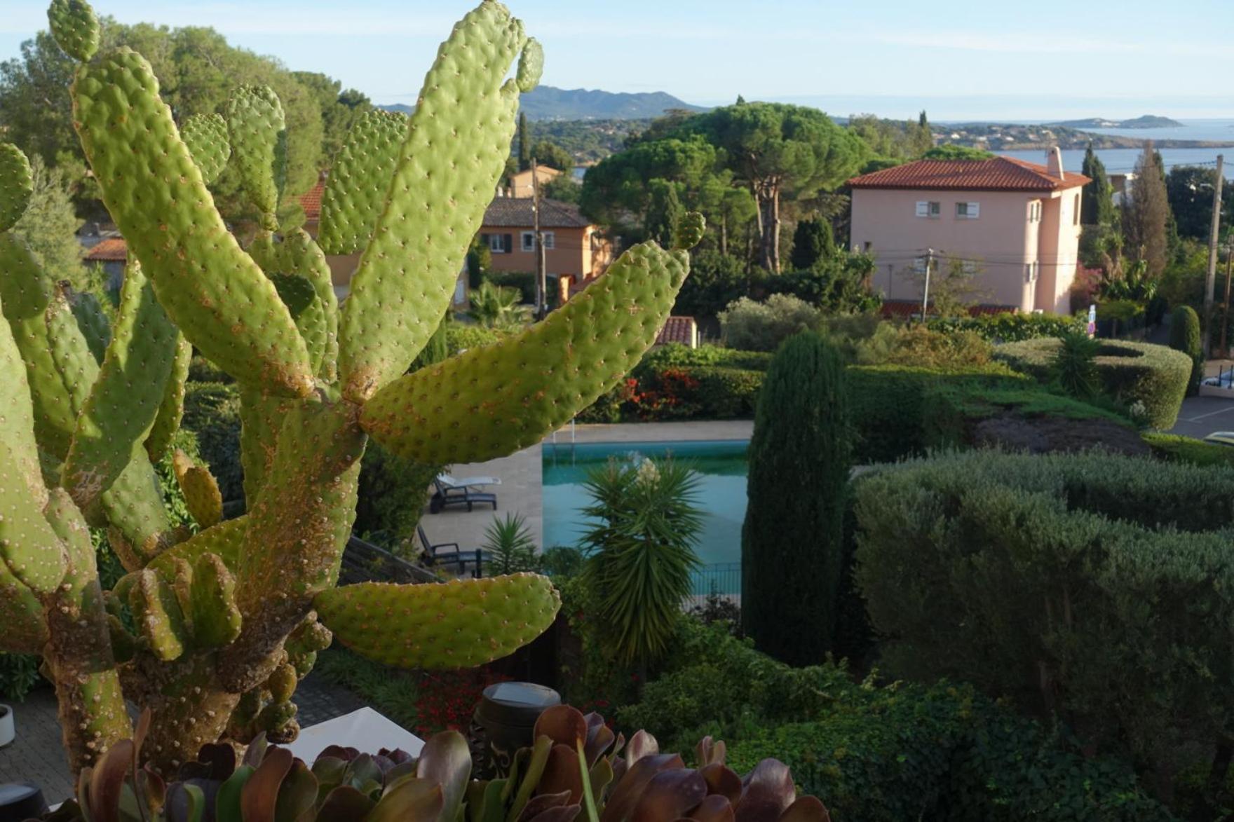 Les Jardins De Bandol, Piscine Privee, Belle Vue Mer Esterno foto